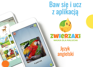 Zwierzaki Case Study